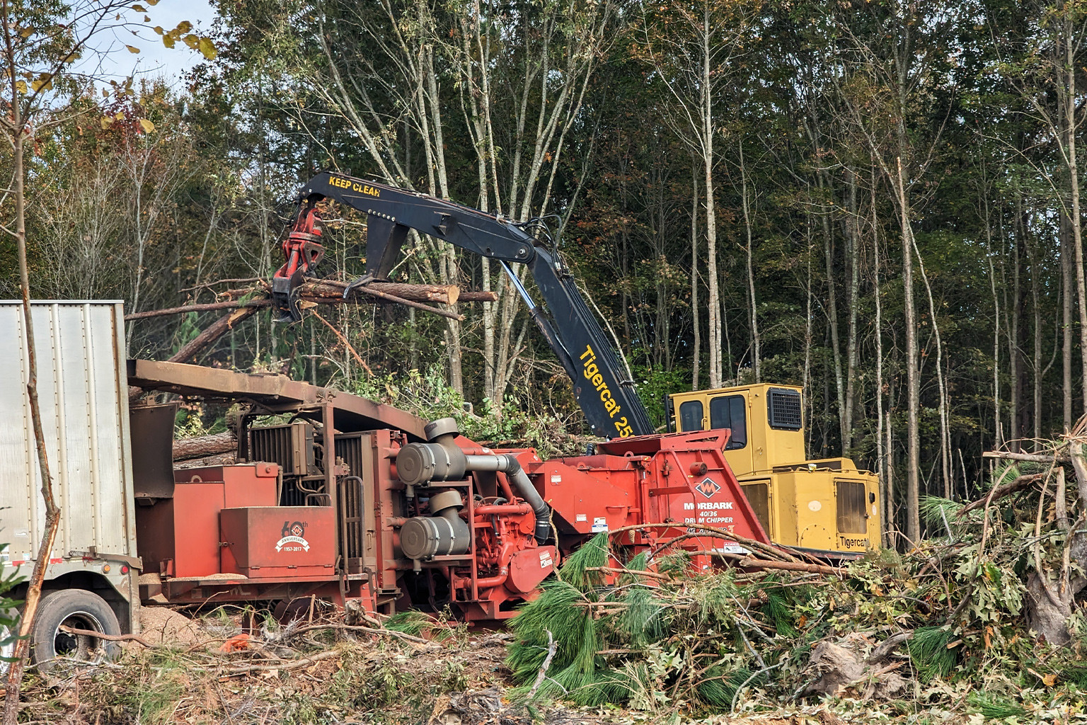 While the company claims it uses mostly wood scraps and treetops for its pellets, Catanoso witnessed whole trees being chipped for Enviva