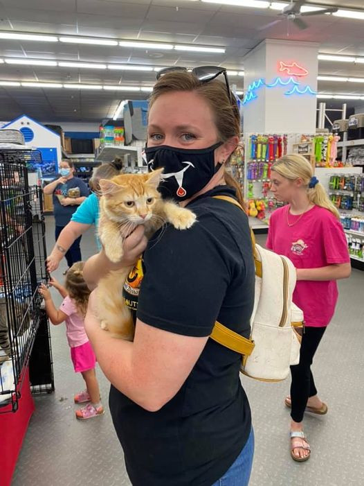 An adoption event at B&amp;B Pet Stop Inc., showcasing the monthly opportunities to adopt pets in Mobile.