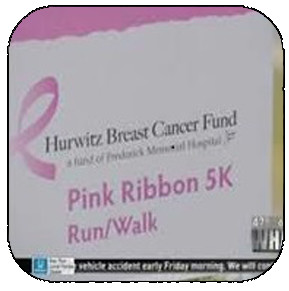 Hurwitz Breast Cancer Fund: Charity for breast cancer research and support