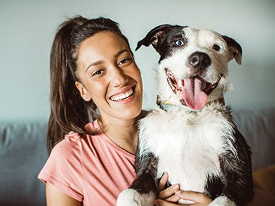 Happy mixed breed dog at home with owner, highlighting the strong bond celebrated by the AKC Canine Partners program.