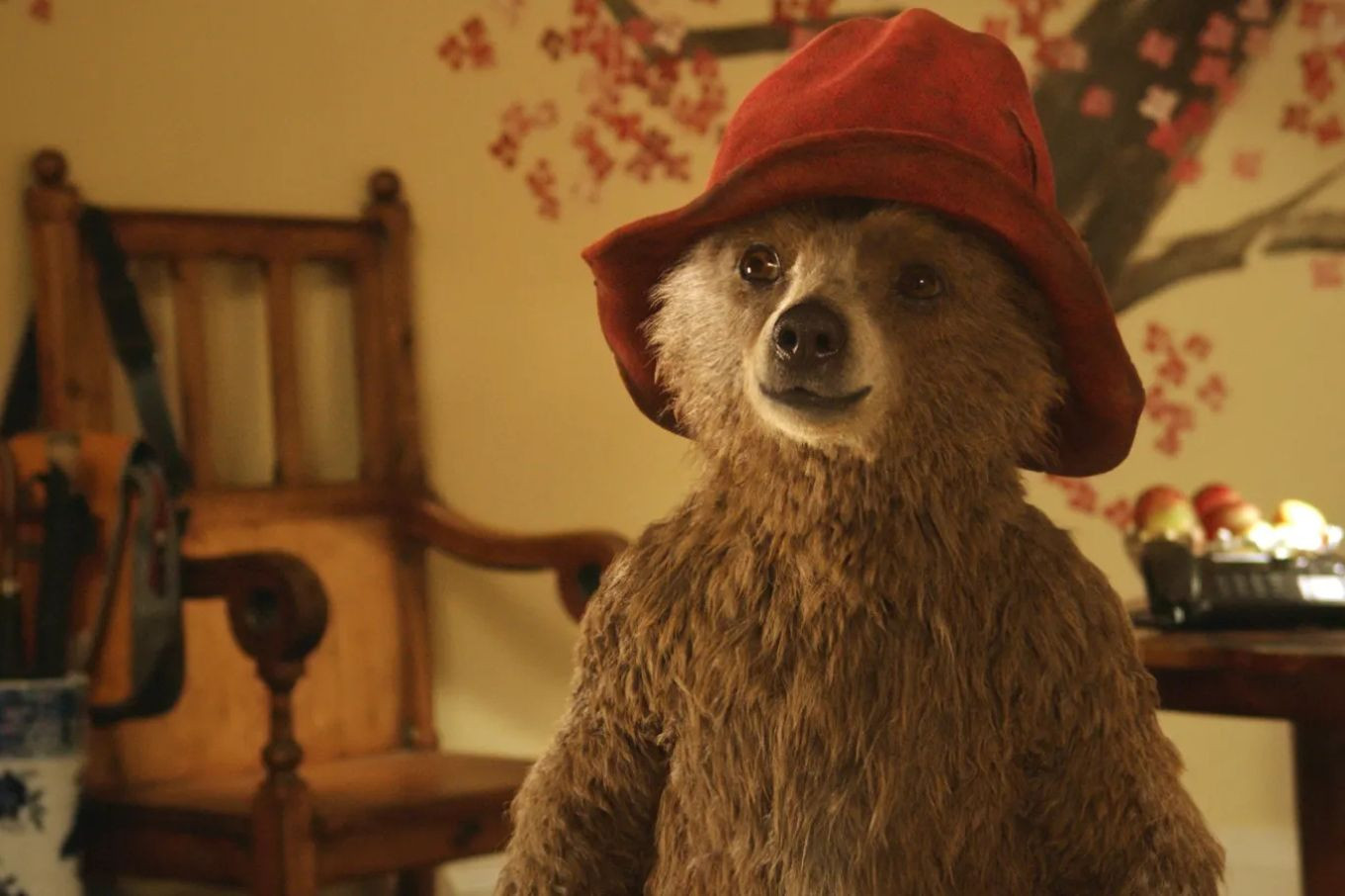 How to buy Paddington merch &amp; apparel online