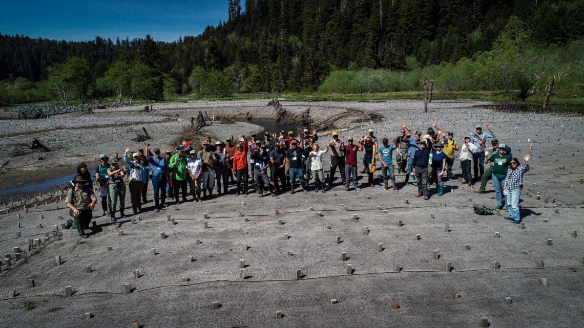 Aerial view of people standing in a circle in a redwood forest, highlighting collaborative partnerships in conservation efforts