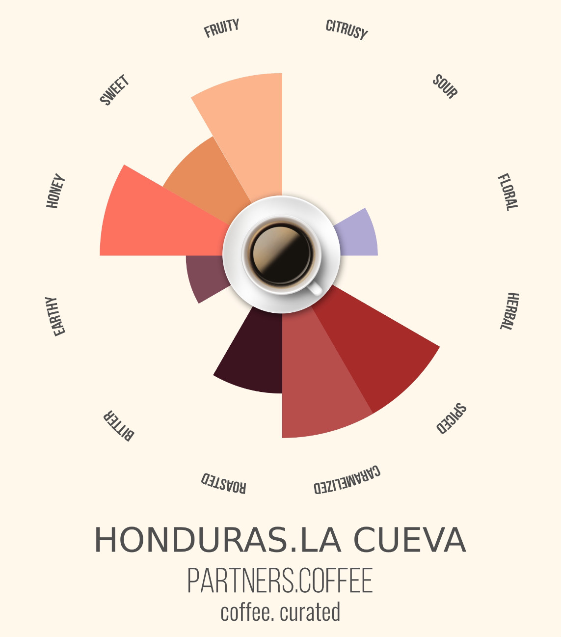 Partners Coffee Honduras La Cueva bean bag