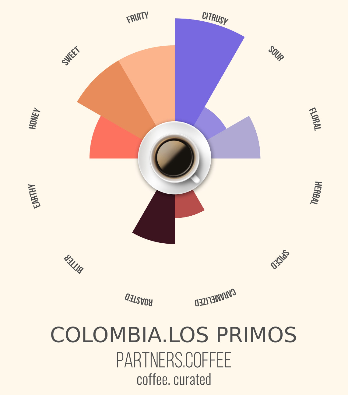 Partners Coffee Colombia_Coffee Curated