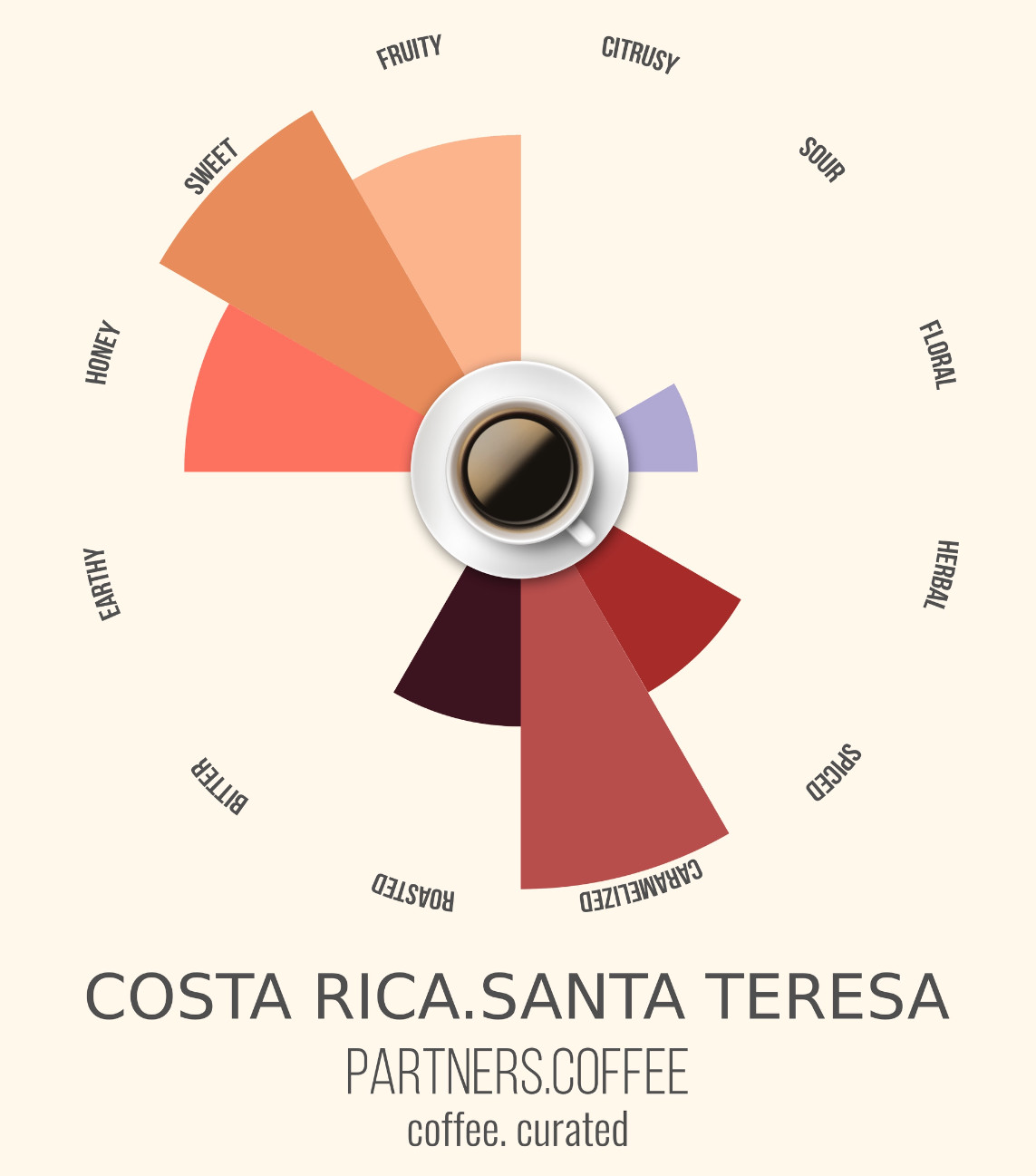 Partners Coffee Costa Rica Santa Teresa bean bag