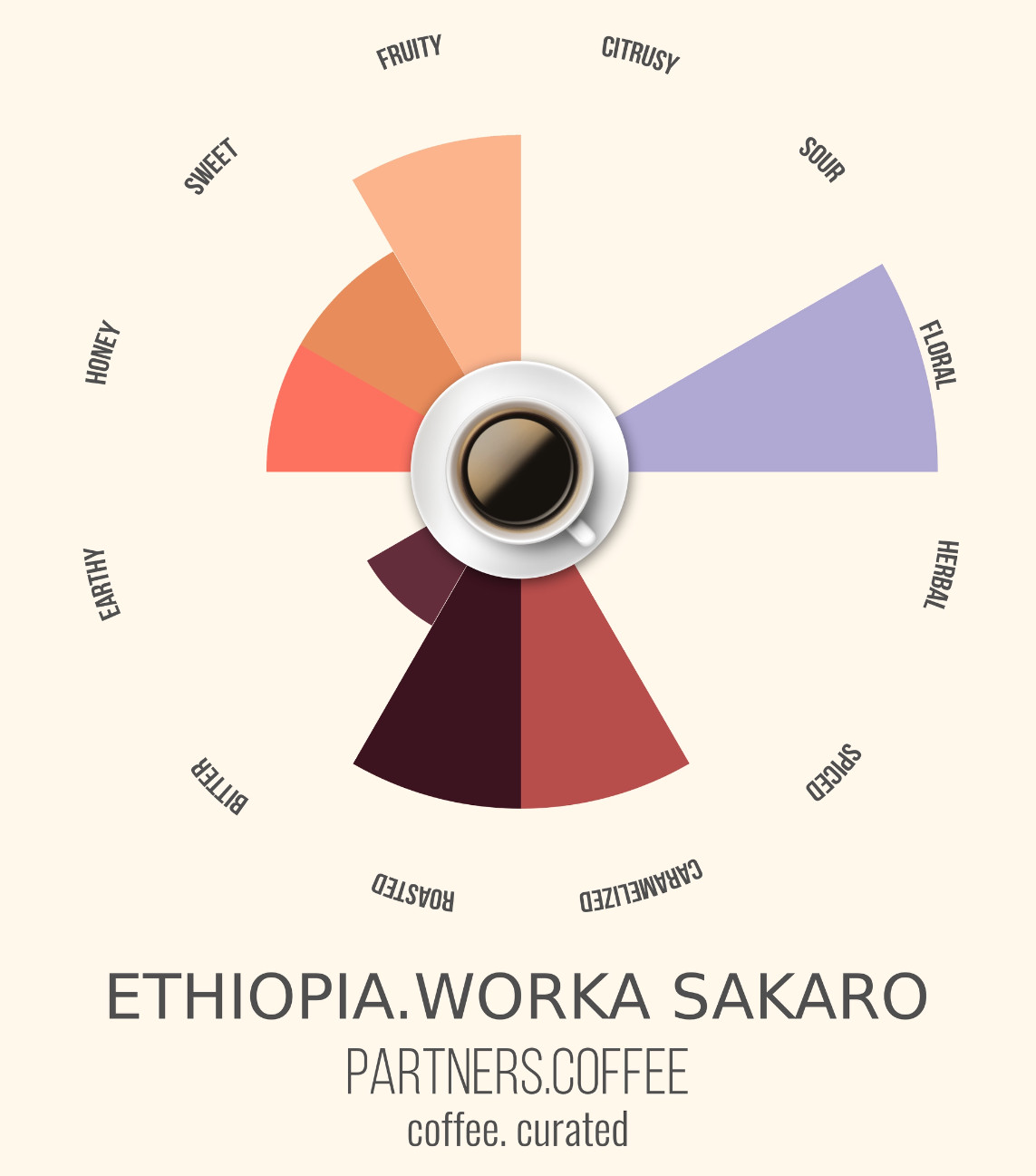 Partners Coffee Ethiopia Worka Sakaro bean bag