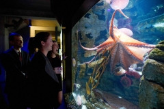 alt text: ClearView Health Partners employees at a company outing at an aquarium