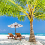 Graphic Best Travel Insurance Companies