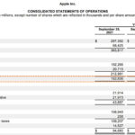 Gross Profit Apple AAPL Example