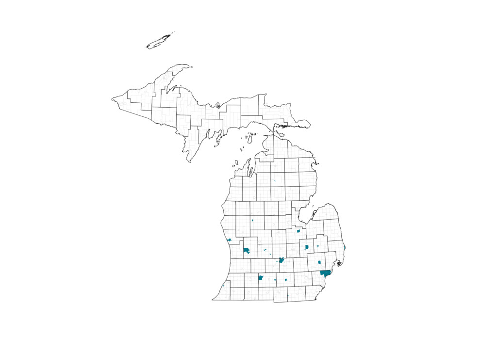 Michigan Cities with Income Tax