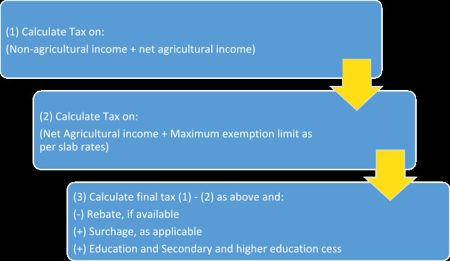 Tax preparation for agriculture income