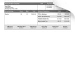 Example Pay Stub
