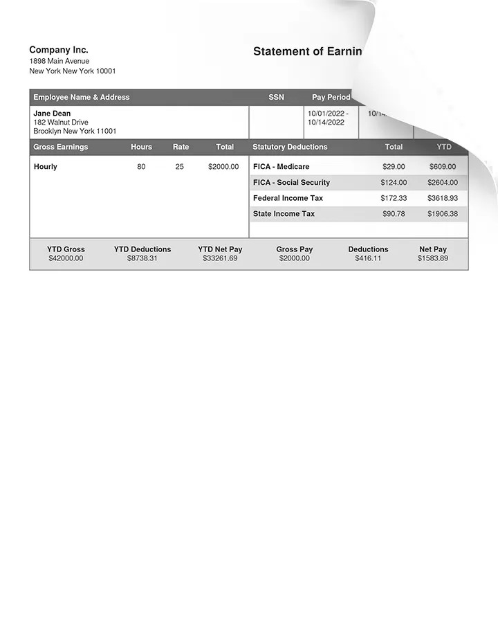 Example Pay Stub