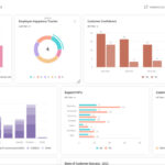 Income survey questions - data dashboard for data visualization