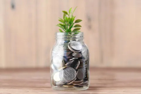 Money jar with a plant growing out of it, symbolizing financial growth
