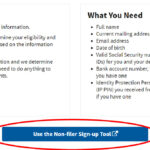 IRS Non-filer2 01