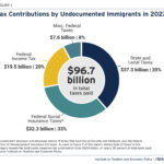 Federal Tax Contributions of Undocumented Immigrants in the USA