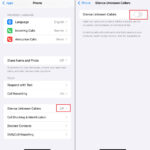 Block a specific international call on iPhone