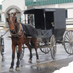 Amish community members in court for refusal to pay buggy light fines