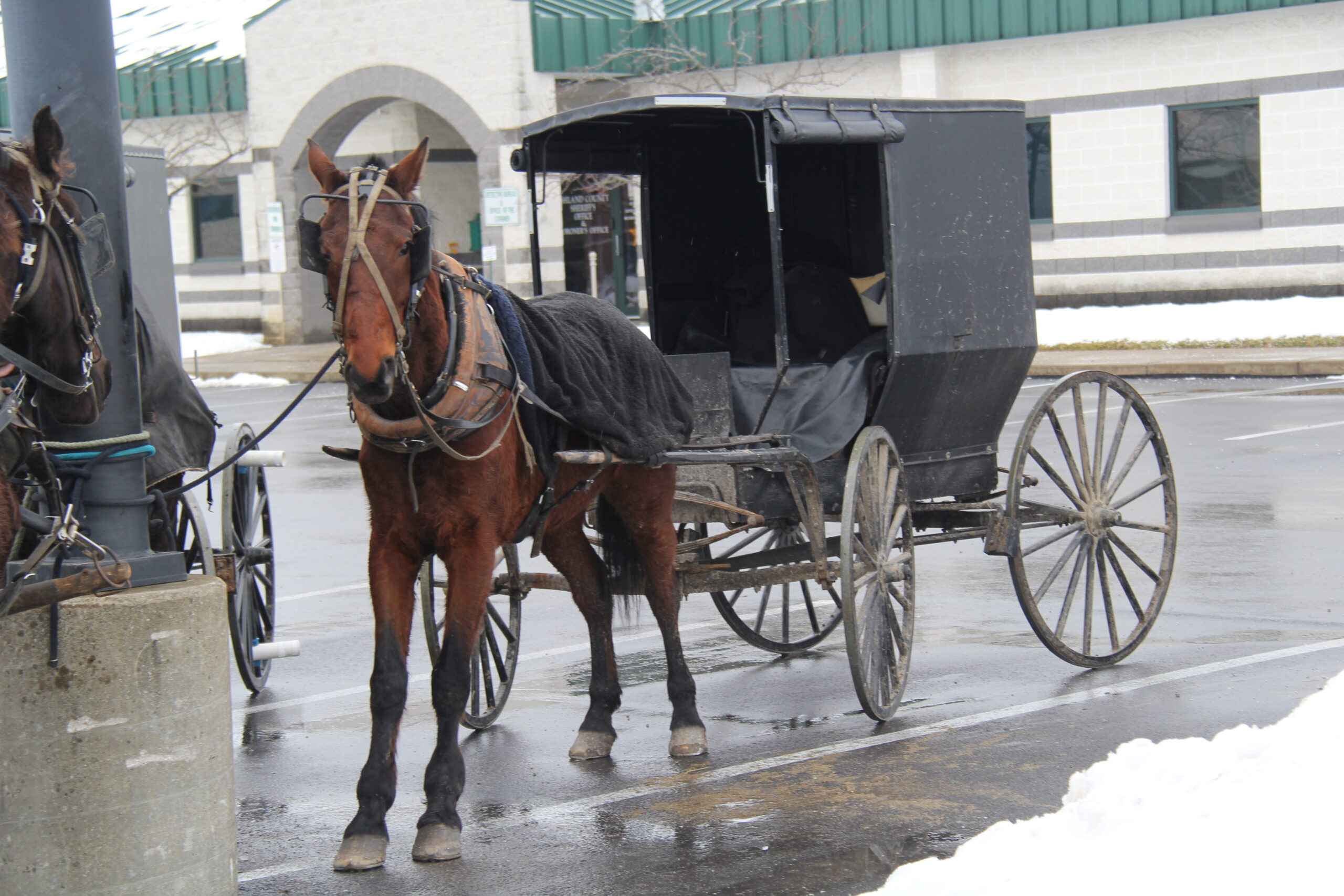 Amish community members in court for refusal to pay buggy light fines