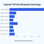 TikTok influencer earnings distribution showing a large percentage earning less than $15,000