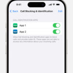An iPhone showing how to set up an app to filter spam calls