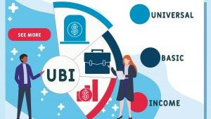 Fabian Wendt explains UBI concepts